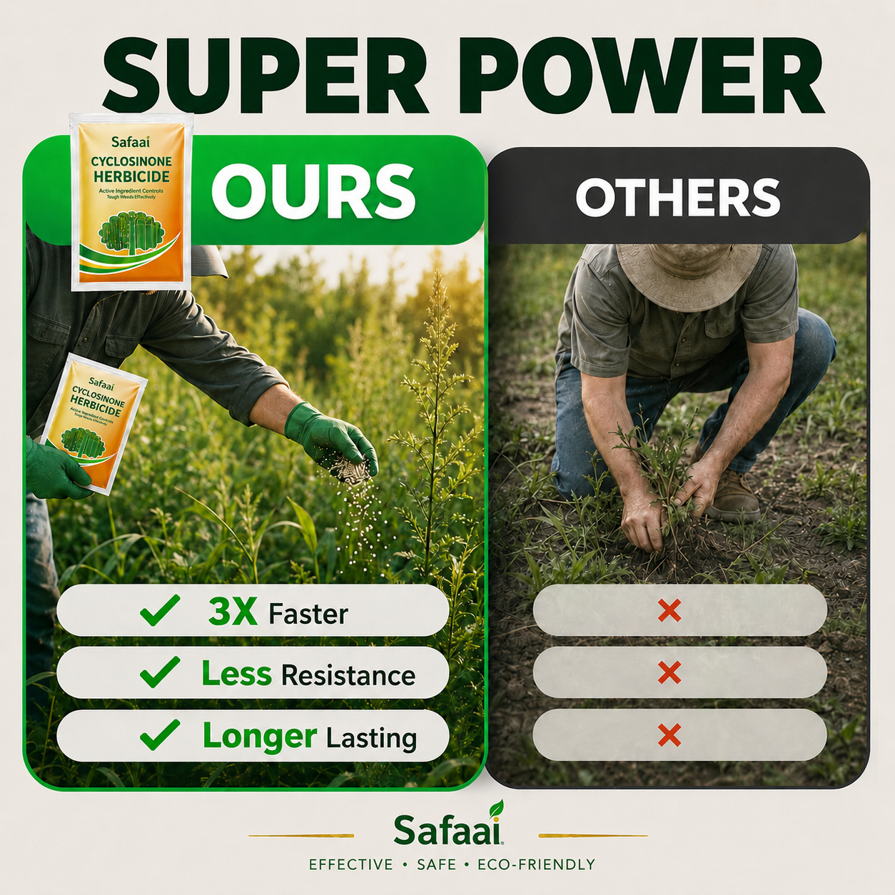 Safaai Cyclosinone Herbicide (Pack of 2)